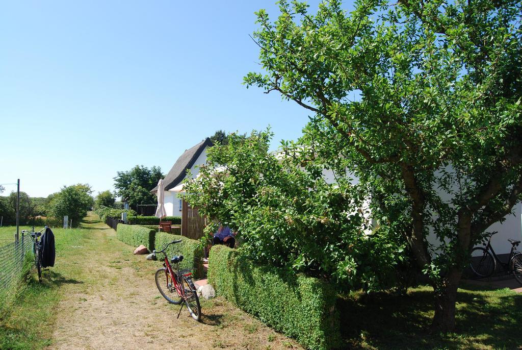 Ferienwohnung Hiddensee In Vitte Dış mekan fotoğraf